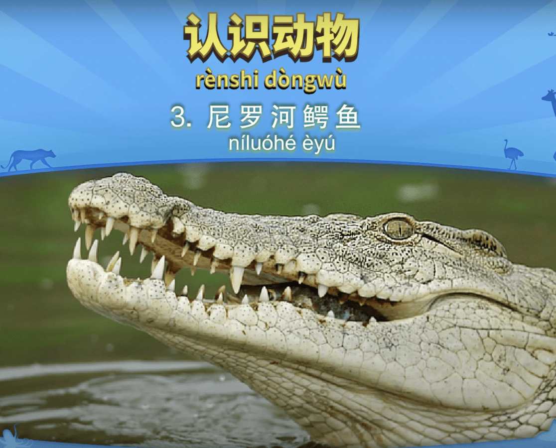 แบบทดสอบฝึกการฟังภาษาจีน คลังข้อสอบภาษาจีน กว่า 2700 ข้อ
