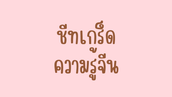 ตัวอย่างชีทเกร็ดความรู้จีน สั่งซื้อได้ที่ chineseaholic.com